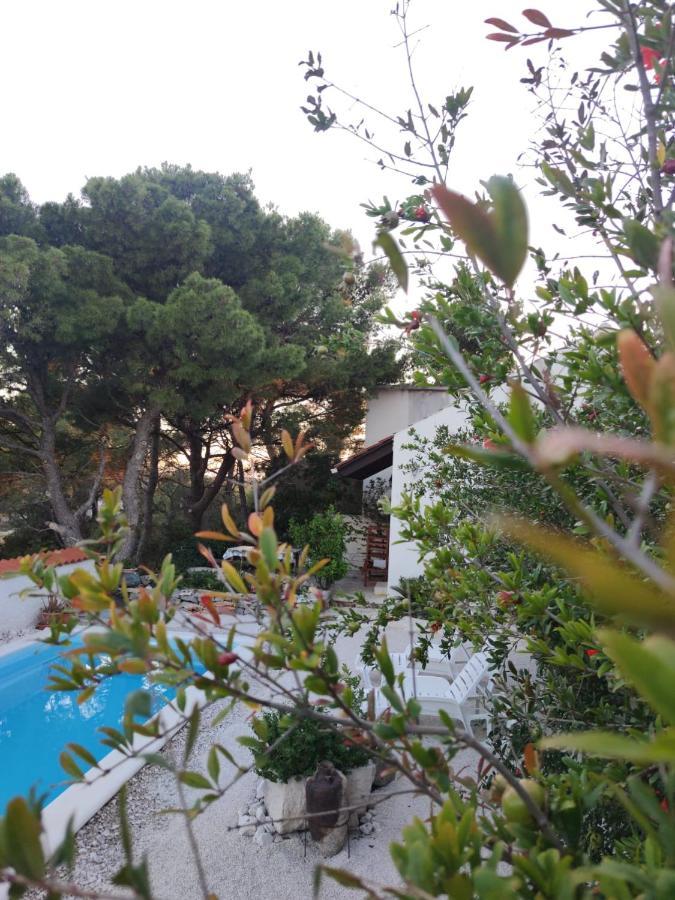 Vacation House Milka Milna  Εξωτερικό φωτογραφία