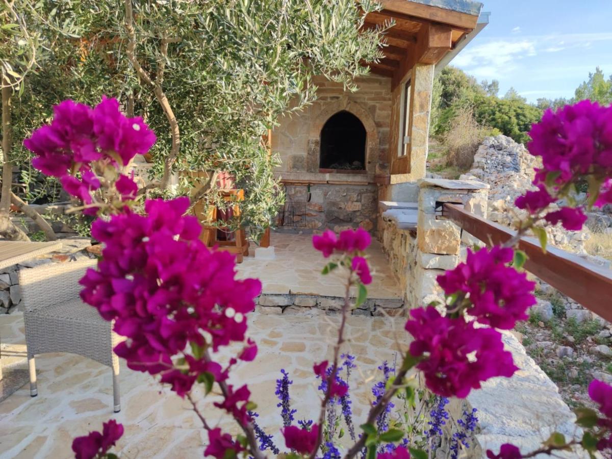 Vacation House Milka Milna  Εξωτερικό φωτογραφία